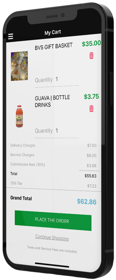 Black Vynez Services (BVS) screen