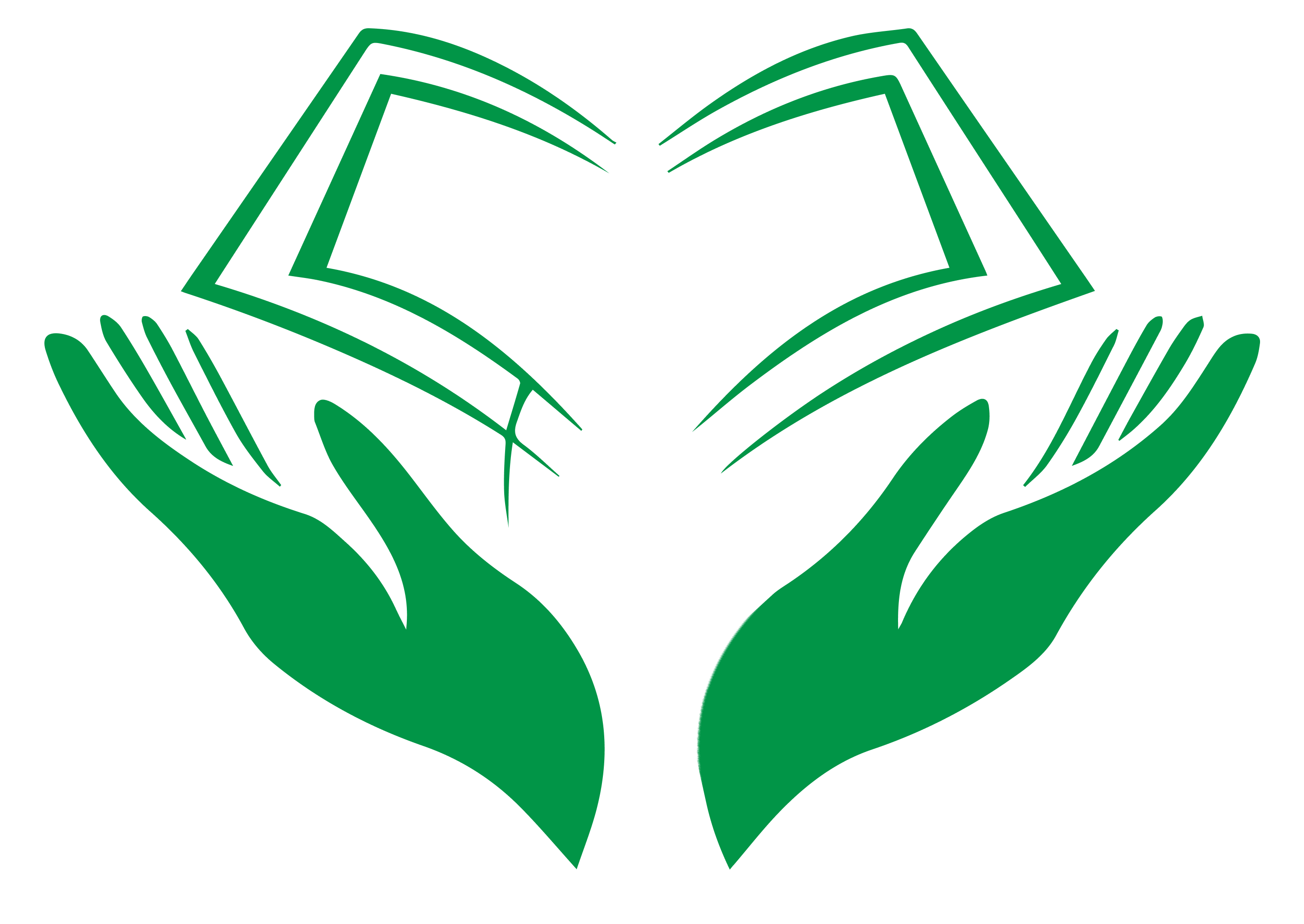 Hisnul Muslim Plus icon